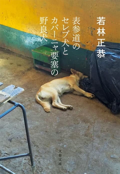 文春文庫『表参道のセレブ犬とカバーニャ要塞の野良犬』若林正恭 | 文庫